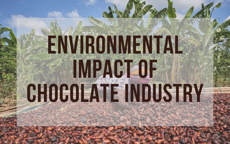 Environmental impact of chocolate 